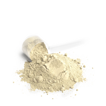 Load image into Gallery viewer, Performance Whey Protein Blend (Vanilla)
