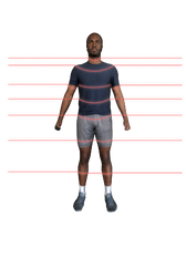 Body Measurements